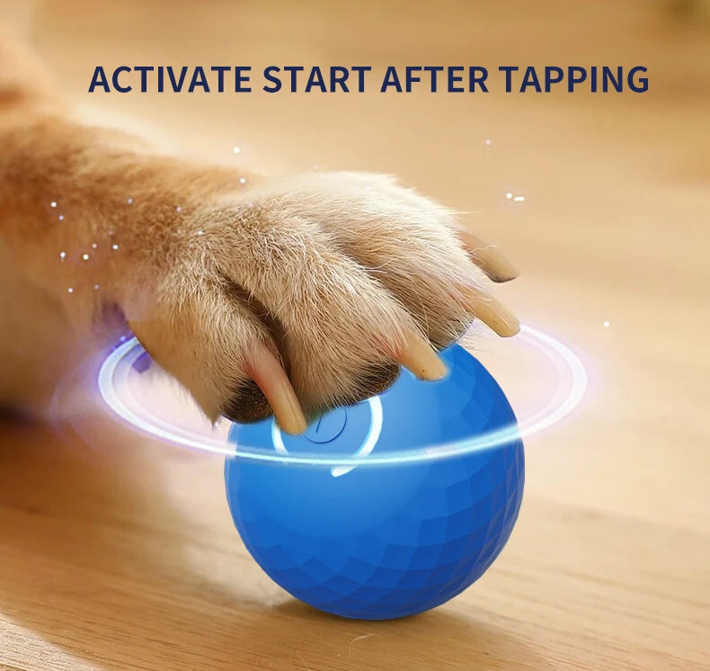 Smart dog toy ball