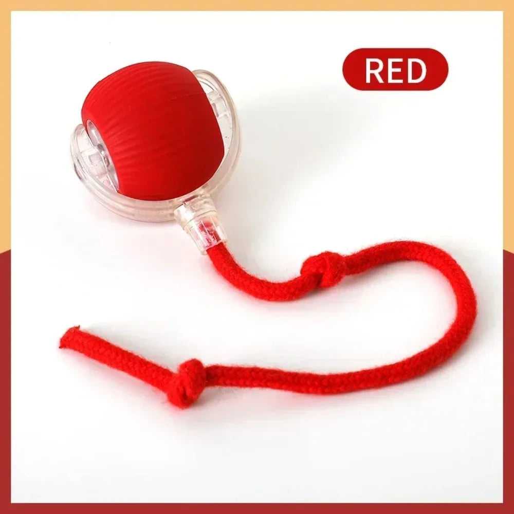 Smart Rolling Interactive Ball for Pets