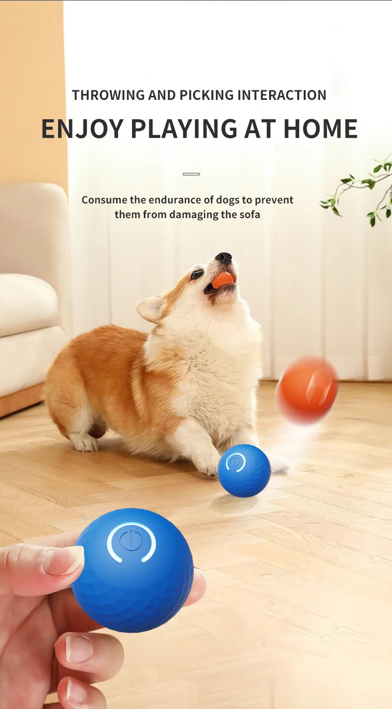 Smart dog toy ball