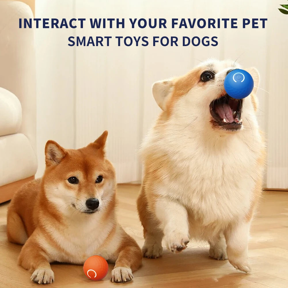 Smart dog toy ball