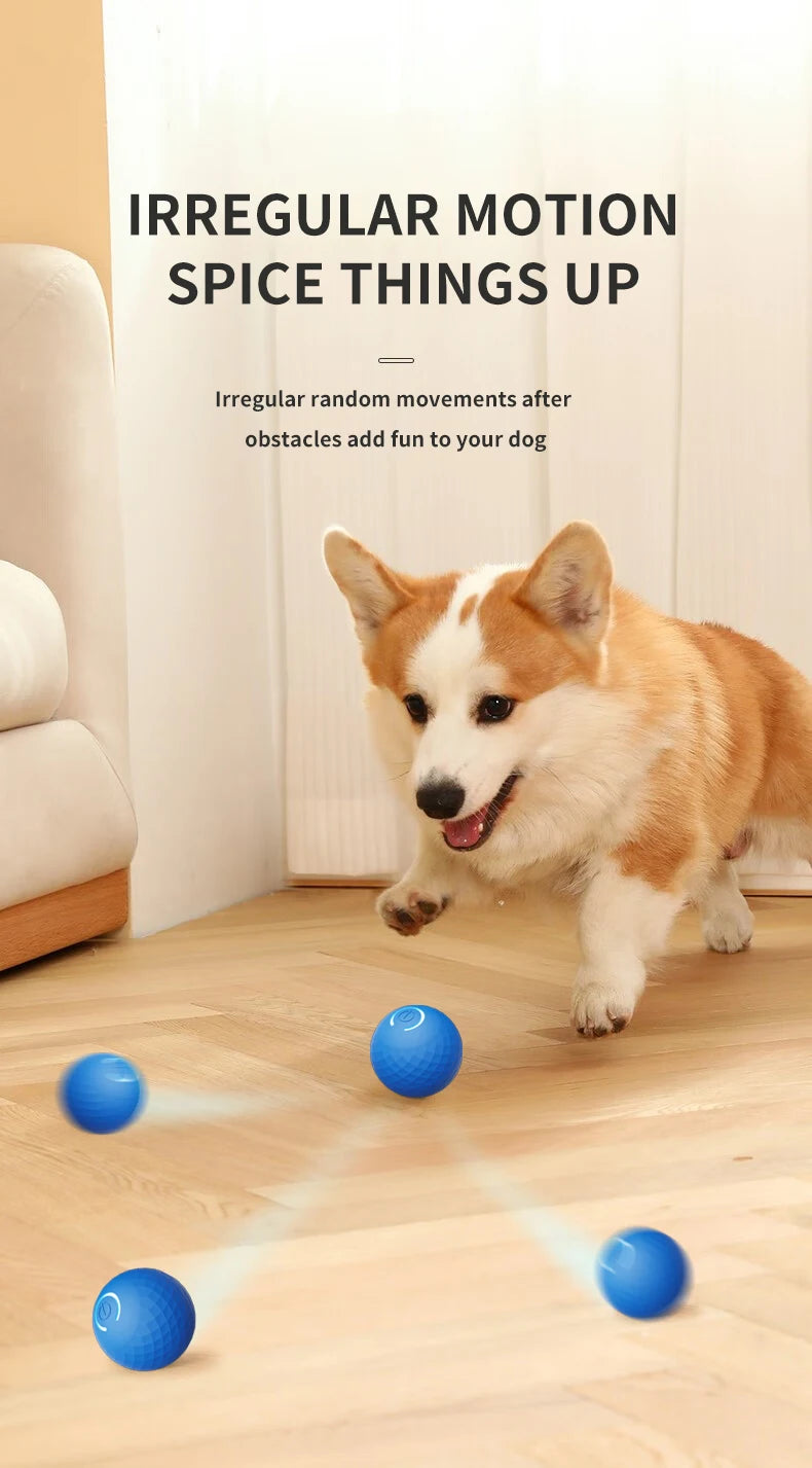 Smart dog toy ball