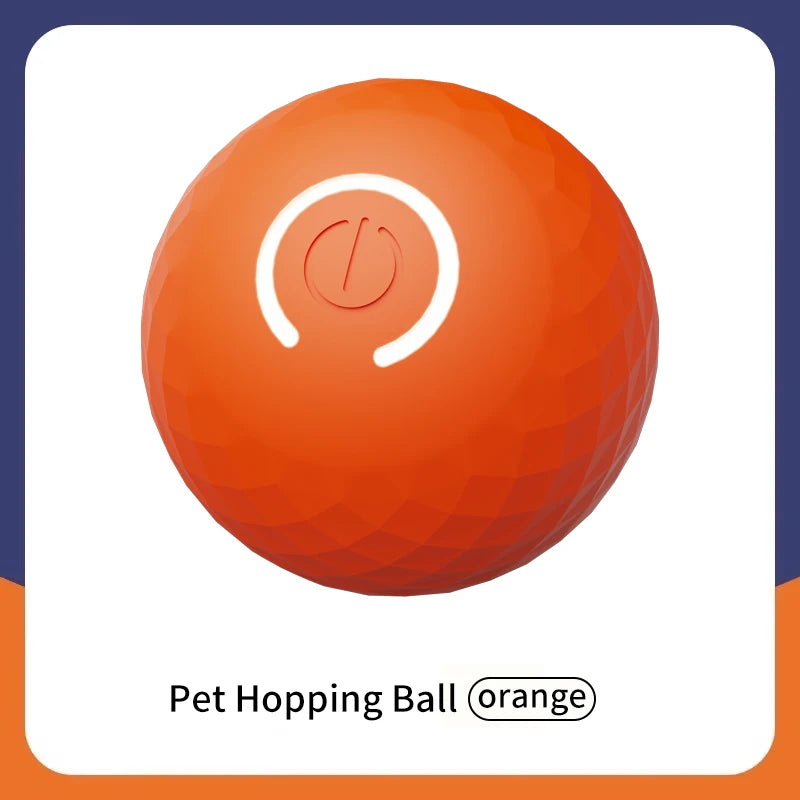Smart dog toy ball