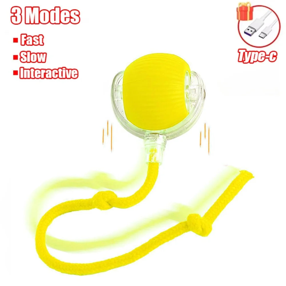 Balle Interactive Roulante  Intelligent pour Animaux