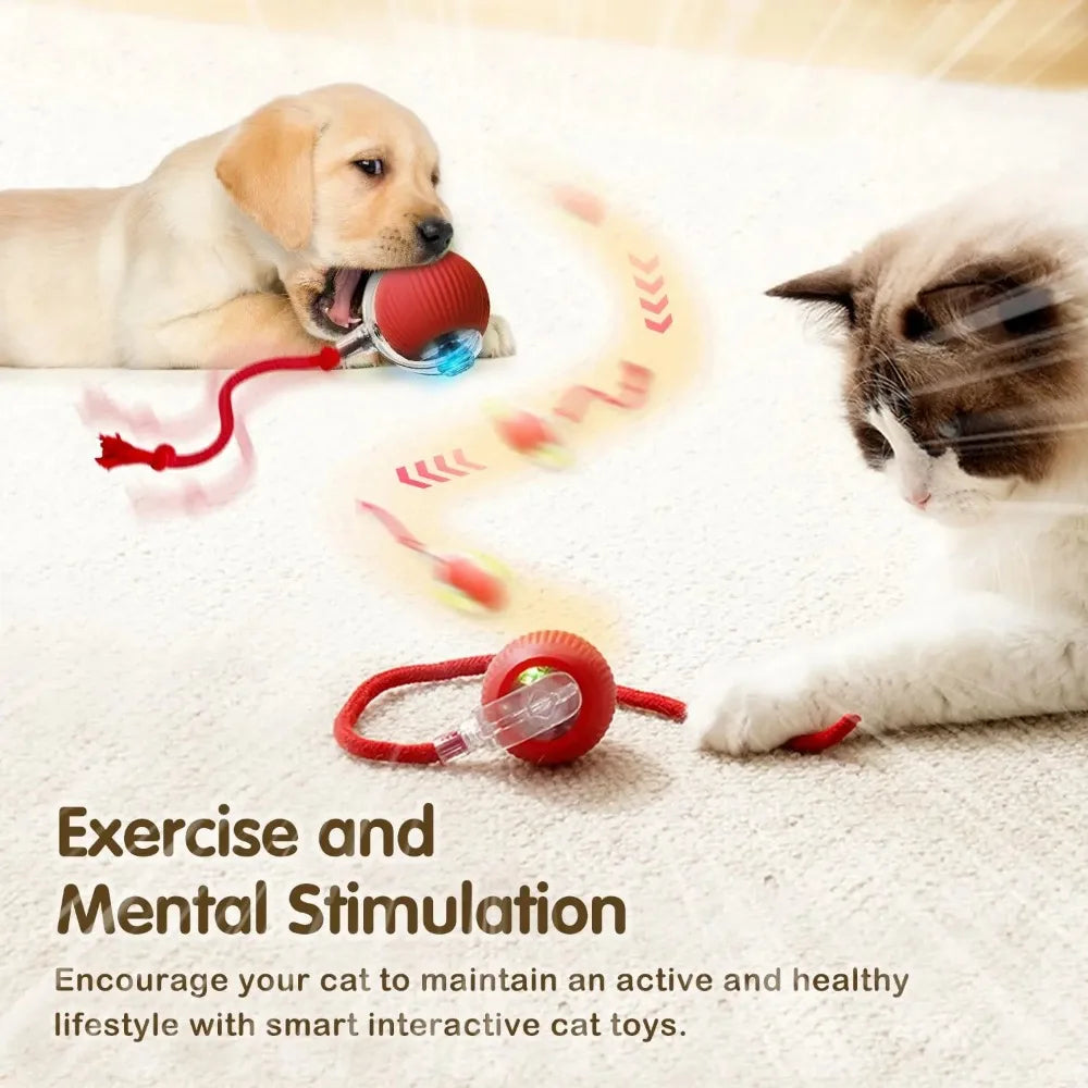 Smart Rolling Interactive Ball for Pets