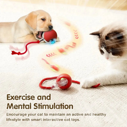 Smart Rolling Interactive Ball for Pets