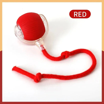 Smart Rolling Interactive Ball for Pets