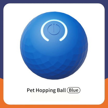 Smart dog toy ball 
