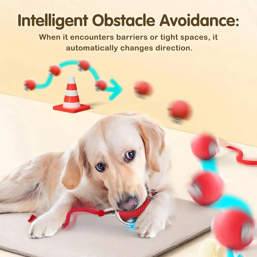 Balle Interactive Roulante  Intelligent pour Animaux