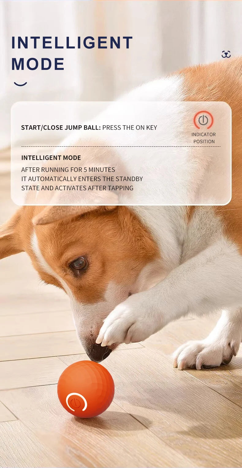 Balle jouet intelligente pour chien