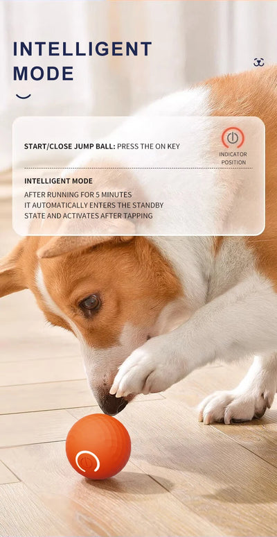 Balle jouet intelligente pour chien