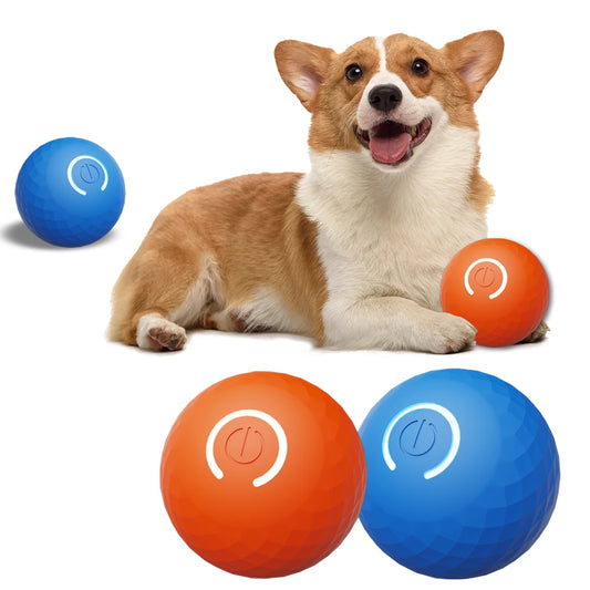 Smart dog toy ball 
