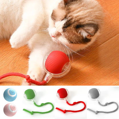 Smart Rolling Interactive Ball for Pets