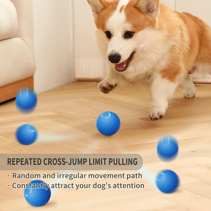Smart dog toy ball 