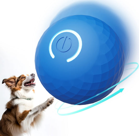 Smart dog toy ball 