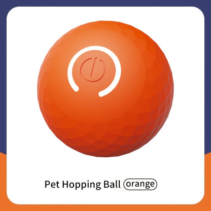 Smart dog toy ball 